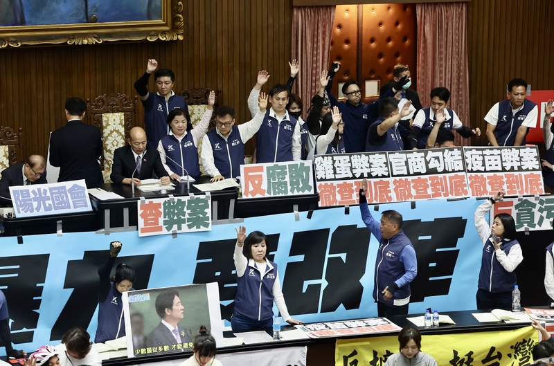 立法院改用舉手表決 徐欣瑩披露藍營的盤算