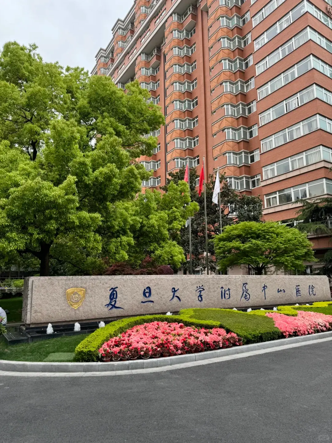 上海復旦大學附屬的中山醫院,是大陸三甲醫院,也是國家醫學研究中心。圖/取自搜狐