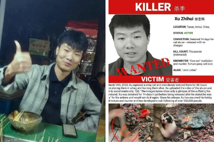 陸網紅「杰克辣條」傳遭刺傷送ICU！涉案女子墜樓亡　知情人士：電梯都是血