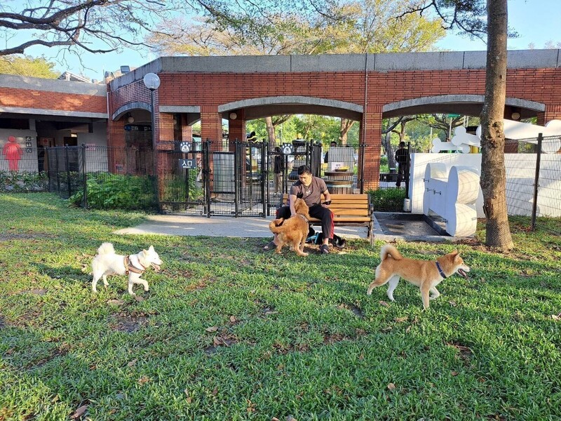 國道服務處增設寵物公園，長途乘車攜帶寵物也能下車放風。圖/中央社