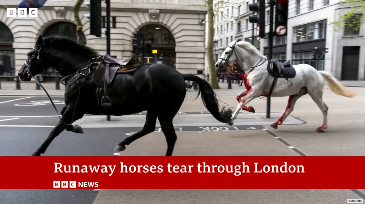 英國倫敦驚現軍馬因受驚嚇失控在倫敦市中心狂奔，一匹還渾身是血。圖/翻攝自BBC News YouTube頻道