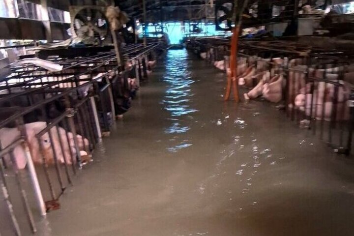 周三西南氣流最顯著　南部續防豪雨以上降雨