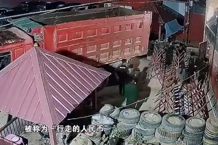 緬北部分以武裝勢力替詐騙集團提供庇護、再從非法所得中抽成的利益鏈。圖翻攝自央視《緬北電詐覆滅紀實》影片