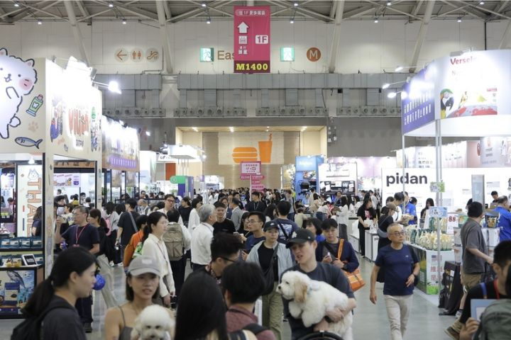 展場驚魂！寵物展傍晚斷電沒冷氣「留龍貓、兔子過夜」　廠商火速澄清 