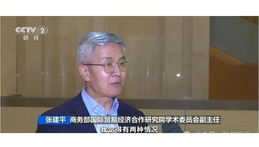 大陸商務部國際貿易經濟合作研究院學術委員會副主任張建平。圖/取自央視