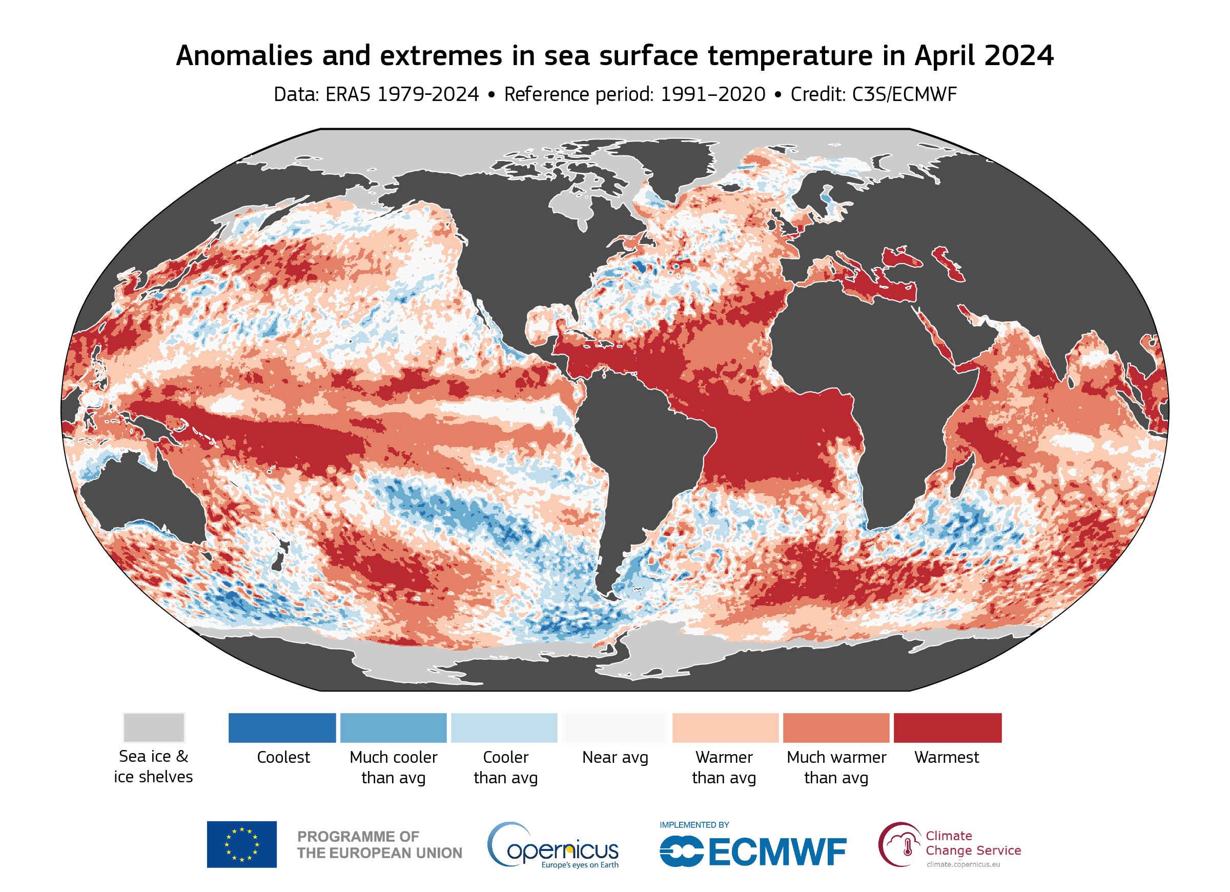 聖嬰現象使得全球海面溫度高漲。圖/取自C3S歐盟哥白尼氣候變遷中新官網