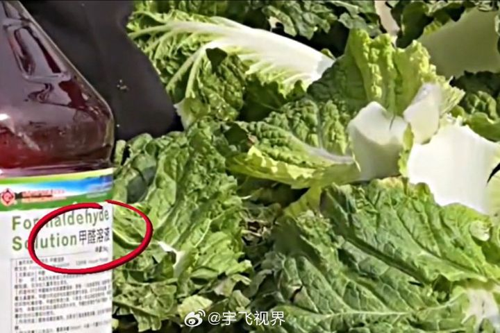 河北「甲醛白菜」流向大陸多省　官方全面追查與攔截