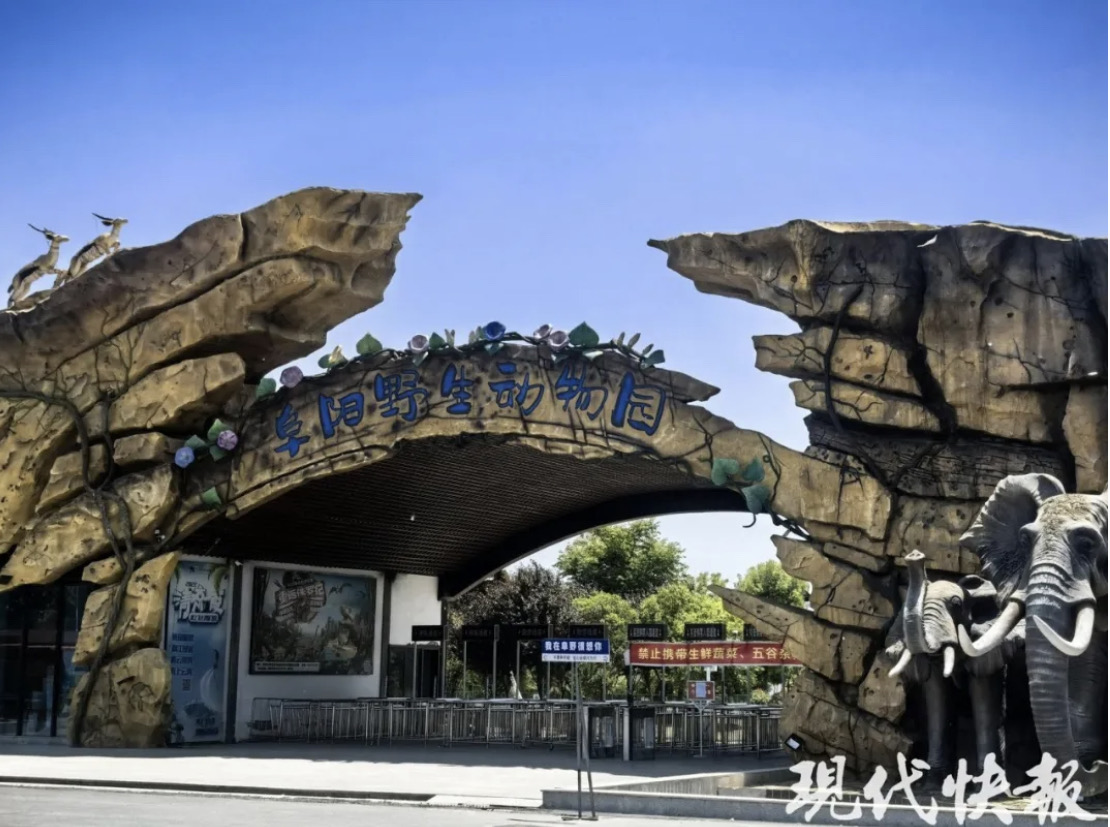 安徽阜陽野生動物園大門入口。圖/取自現代快報