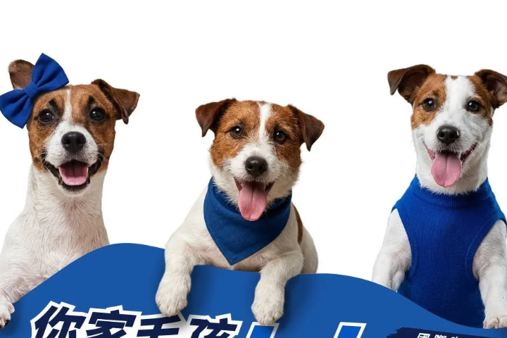 全家合作網紅犬惹議！「跳跳家族」昔爭議多　網抵制轟大企業：助紂為虐