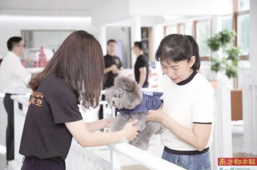 大陸首家寵物候機廳在深圳機場啟用。圖/取自《南方都市報》
