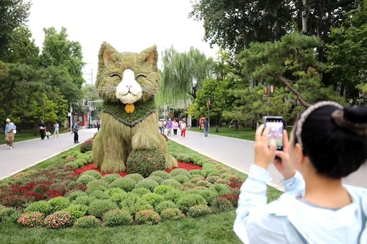 北京日壇公園近日出現一隻高達3.5公尺的「潦草小貓」——「蓬蓬」，迅速成為新晉打卡熱點。圖/取自《北京日報》