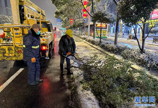 凍雨重量為雪的十倍，致武漢路樹受災嚴重，圖為當地工人正清潔路樹。圖／引自新華網