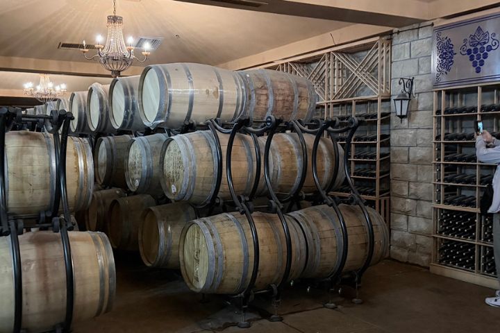 走進酒莊,除了能欣賞成排葡萄園景致,更能深入了解釀酒過程。圖/記者陳素貞攝