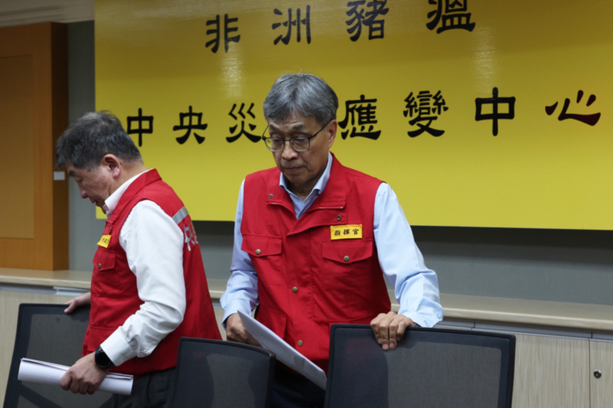 確認非洲豬瘟侵台 農業部:暫停豬肉出口、這三個月是關鍵