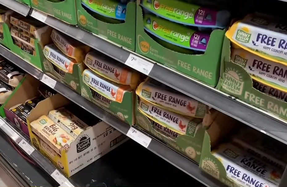 澳洲Coles超市限制民眾購買雞蛋數量。圖/取自7News Australia官方《YouTube》頻道