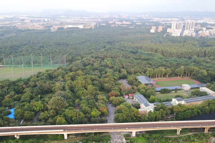 賴清德宣示都市造林！高雄國有地卻砍10萬棵樹...陳其邁不甩民團陳情