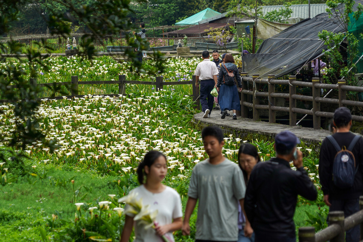 各地多雲到晴午後局部雨　強颱白海豚路徑仍待觀察
