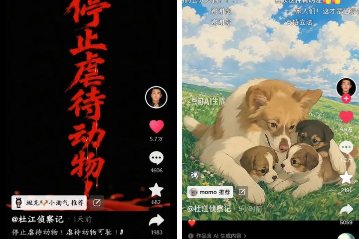 杜江呼籲停止虐待動物,並盼中國推動《動物保護法》,其言行獲得無數大陸網友力挺。圖/取自微博
