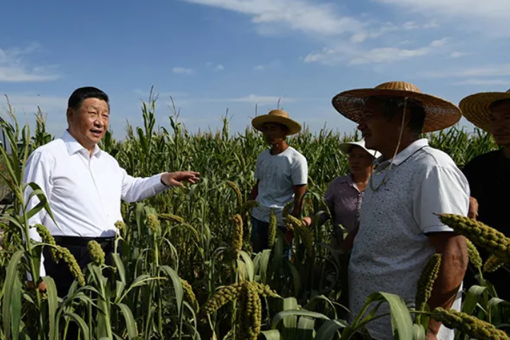 陸公布今年中央一號文件　點名新能源車「下鄉」促銷費