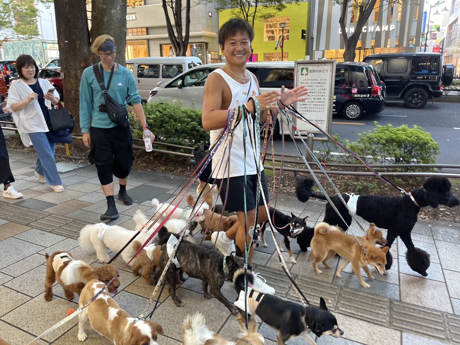 在東京熱鬧的街頭，就有著一位超級陽光的遛狗達人。圖/陳素貞攝