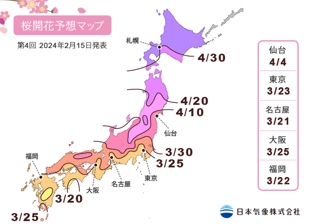 日本氣象株式會社預測今年櫻花開放時間。圖/取自日本氣象株式會社官網