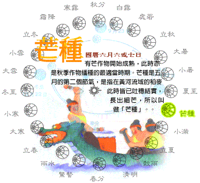 今天（5日）是節氣中的芒種，象徵芒作物結穗待收，長出細芒。圖/取自農業部網站