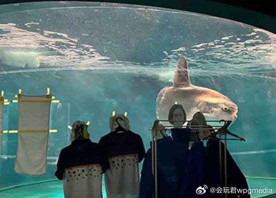 水族館飼養員用制服做了「假人」對著玻璃櫥窗，讓翻車魚恢復食欲。圖/取自會玩君wpgmeadia微博