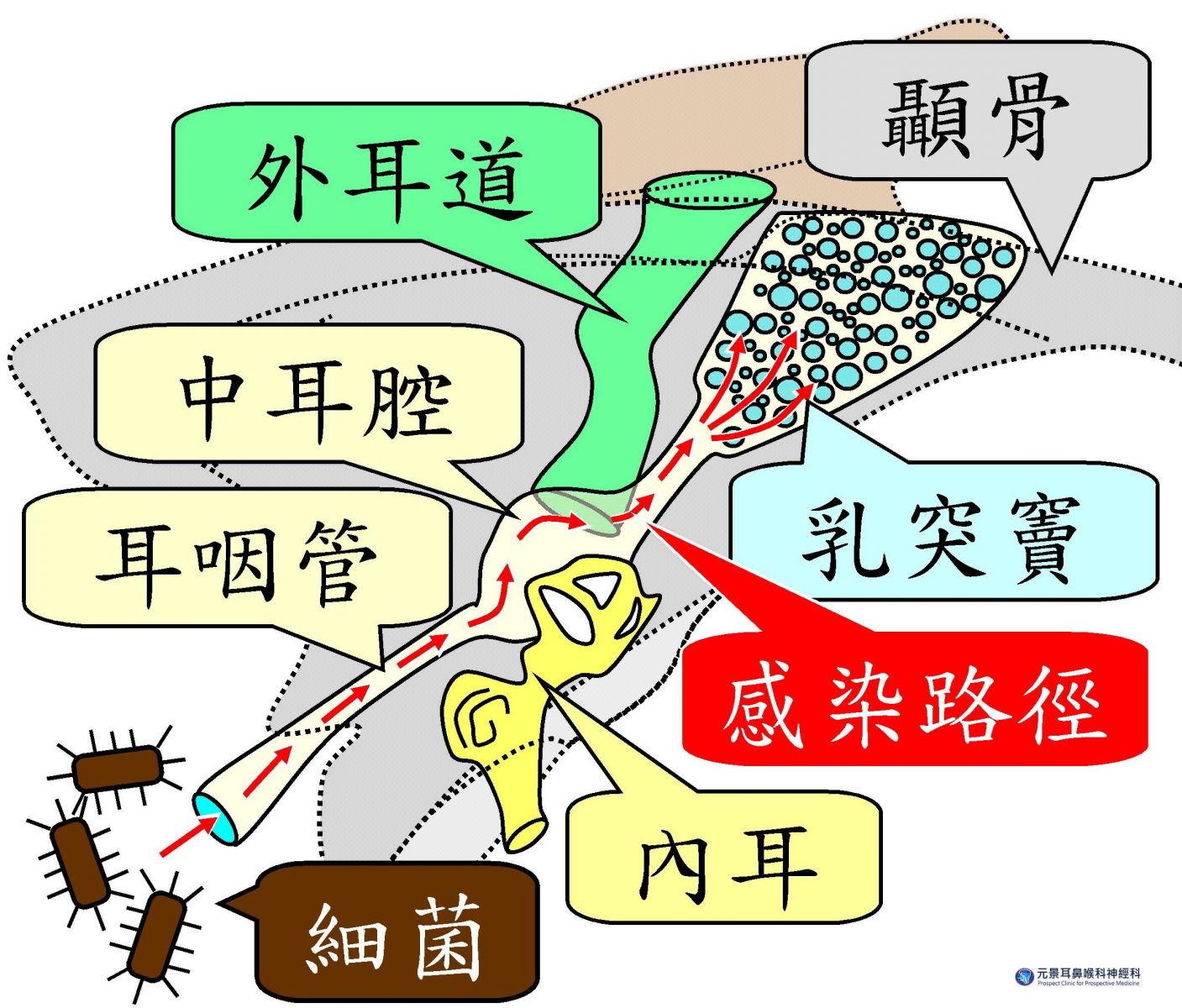 新聞圖片