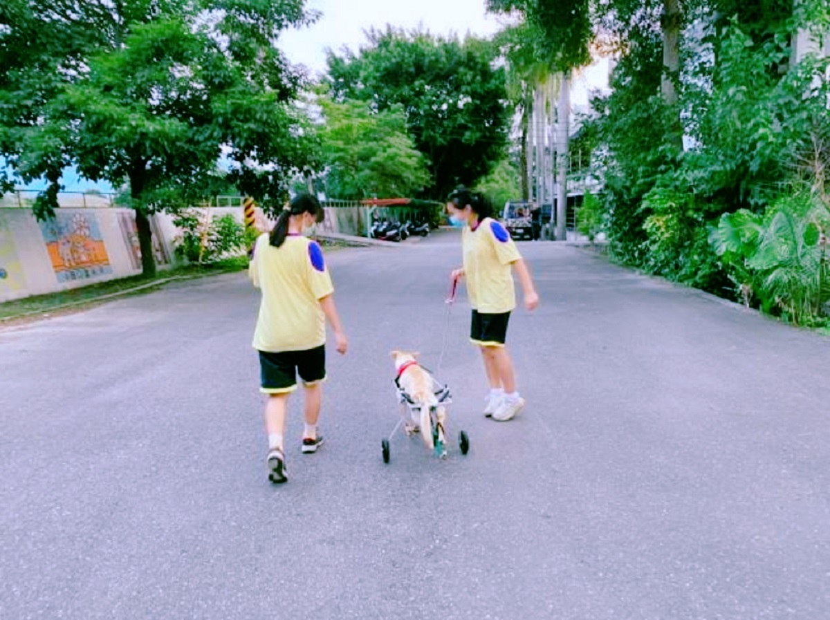 池上國中學生以照顧校犬來進行生命教育。圖/教育部提供