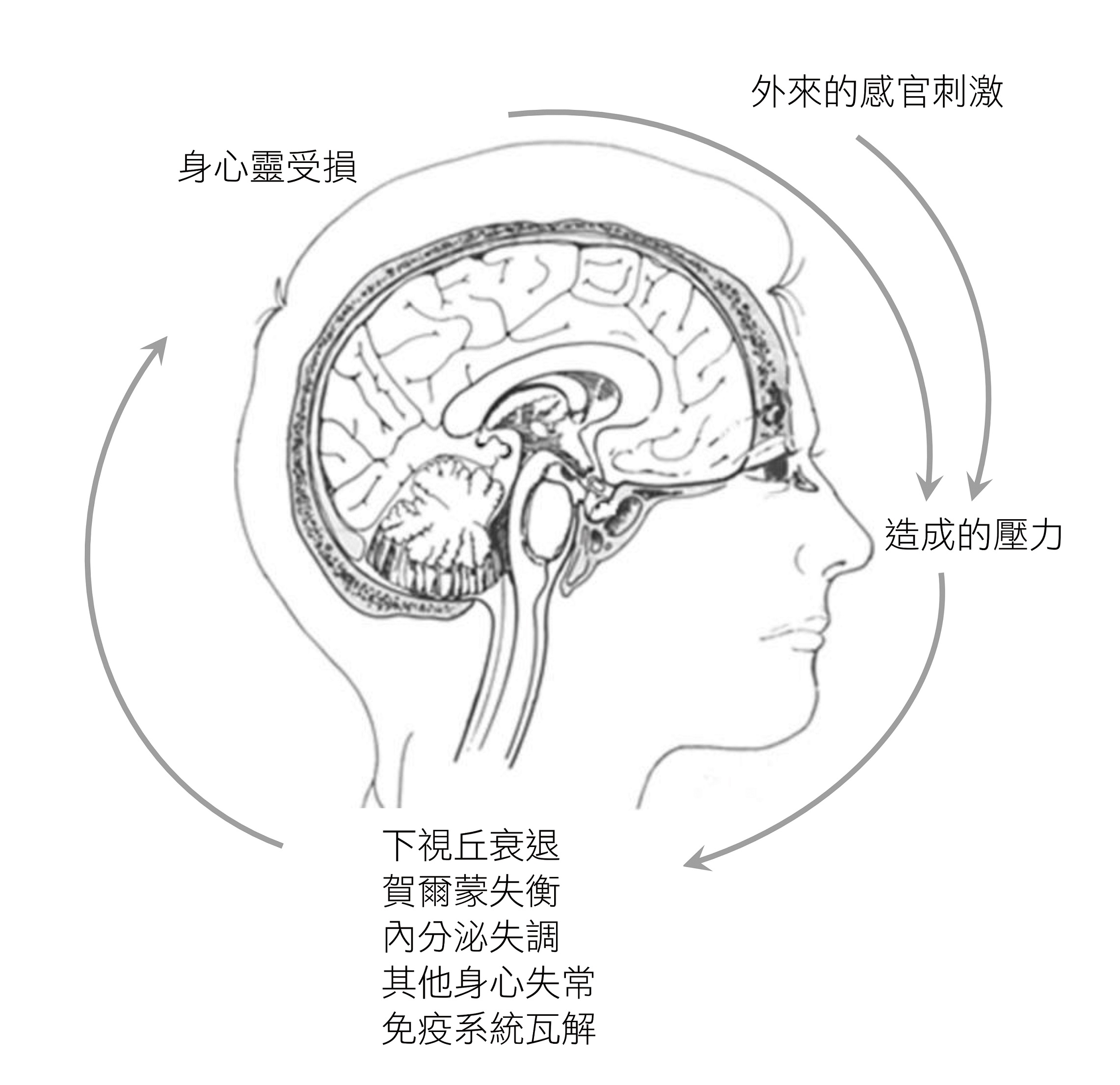 新聞圖片