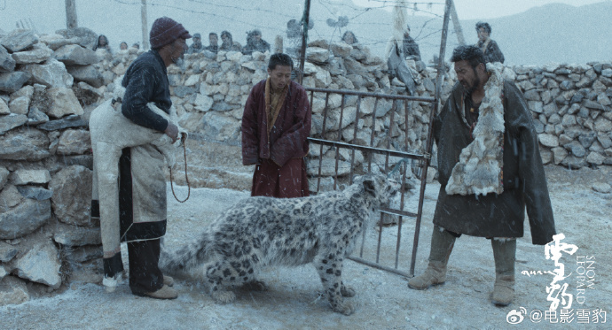 西藏導演萬瑪才旦的遺作《雪豹》獲得國際評審團金環獎。此為萬瑪才旦第三次獲得該項殊榮。圖/取自電影雪豹微博