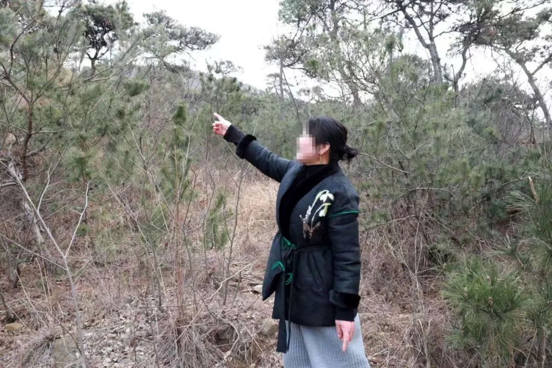 仰姓女子養護種樹已看到成果。圖/取自連雲港市中級人民法院微信公眾號