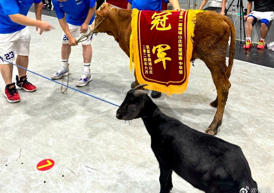 在大陸小城市馬拉松或「村BA」，常見送牛羊等類的獎品。圖/取自宜鷗微博