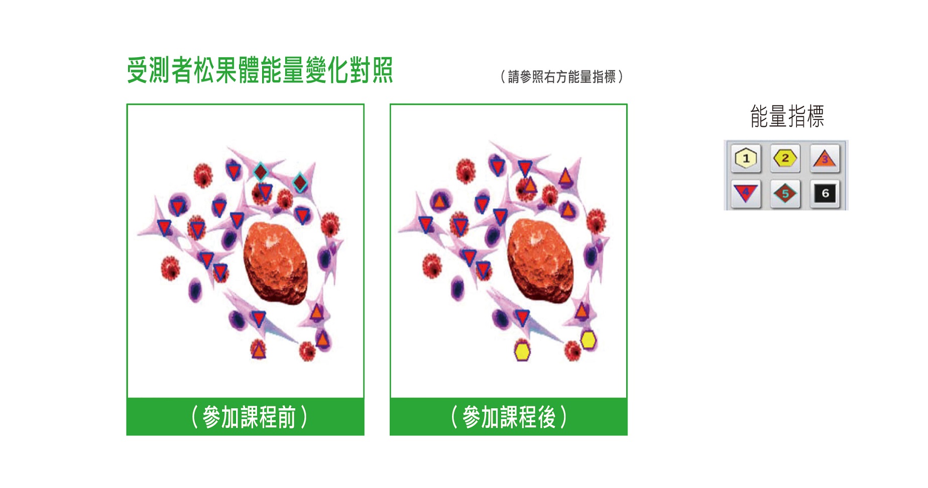 新聞圖片