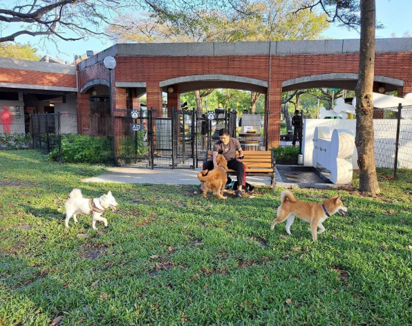 國道服務處增設寵物公園，長途乘車攜帶寵物也能下車放風。圖/取自高速公路局網站