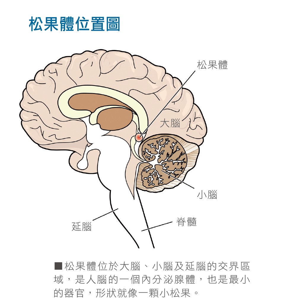 新聞圖片