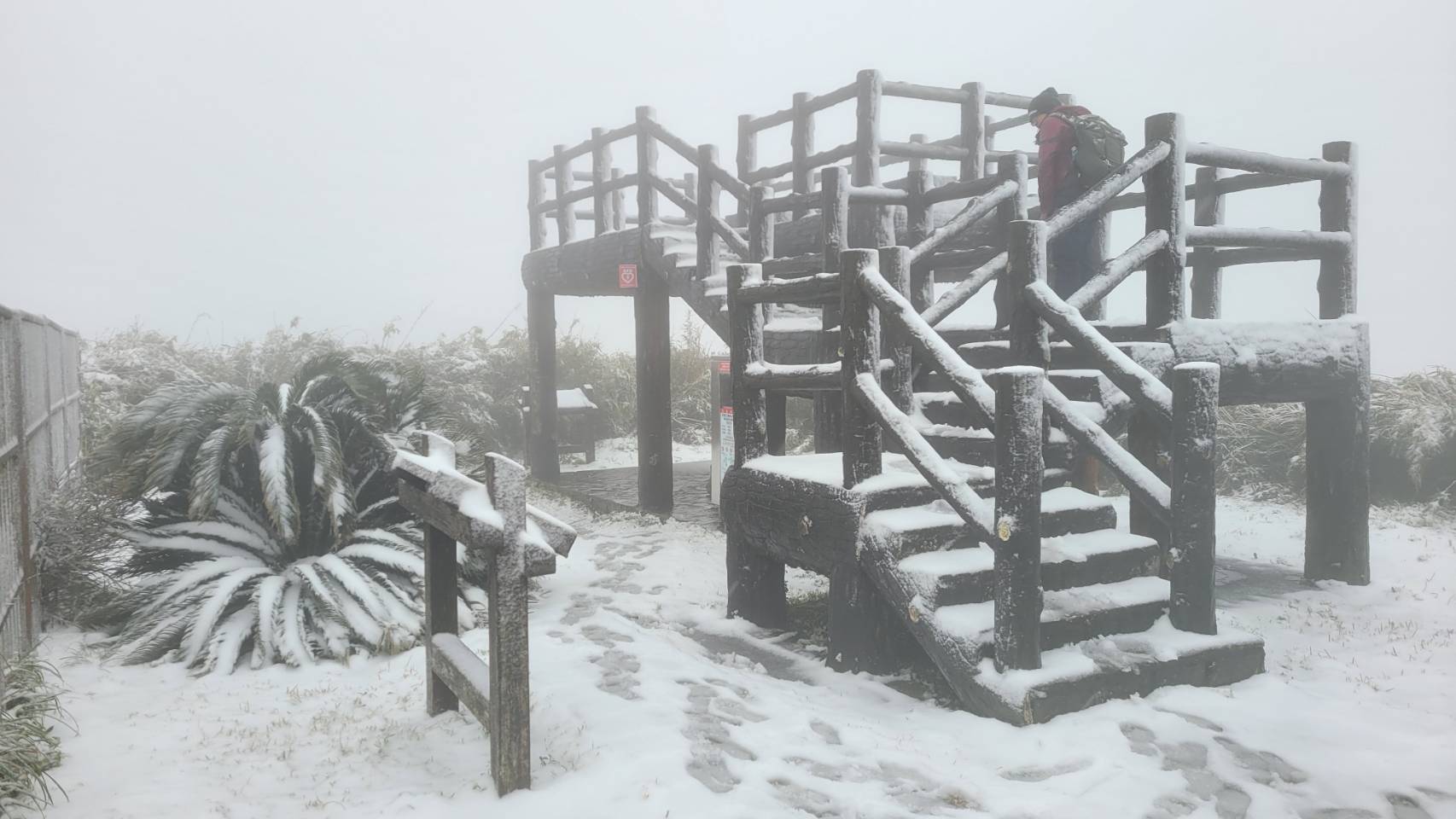 陽明山面天山白雪皚皚成為賞雪秘境。圖/讀者提供